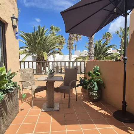 Margarita C129 Oasis Duna *