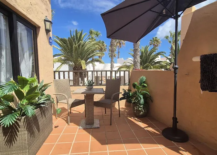 Margarita C129 Oasis Duna *