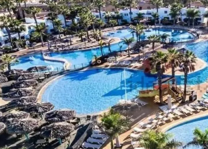 Margarita C129 Oasis Duna